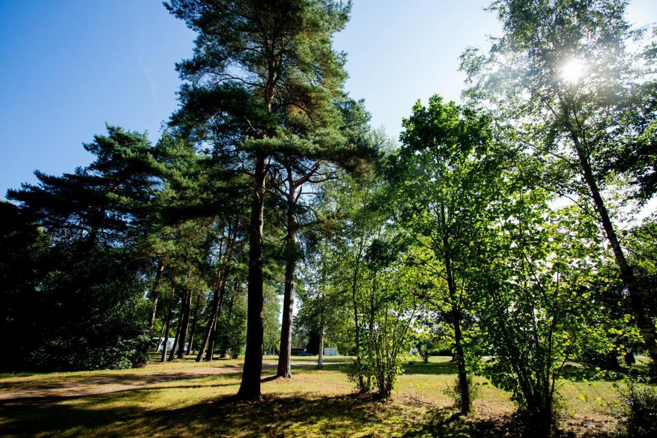 Naturcamping Lüneburger Heide - Chalets&Tiny Häuser Soltau Exterior foto